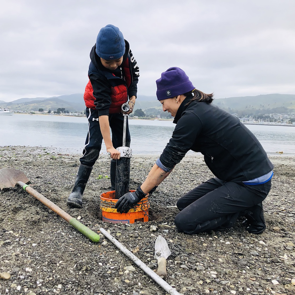 The Quest to Dig Up the Elusive Geoduck Clam